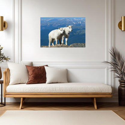Two Kid Goats | Rocky Mountains Photography Poster | Animal Wall Art - Photography Poster
