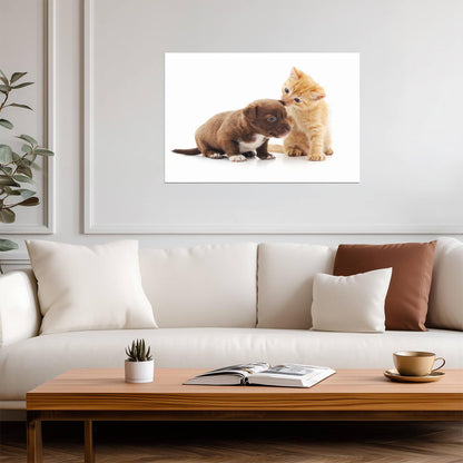 Cute Kitten and Puppy Cuddling | Loving Animals Photography | Pet Friendship Poster - Photography Poster