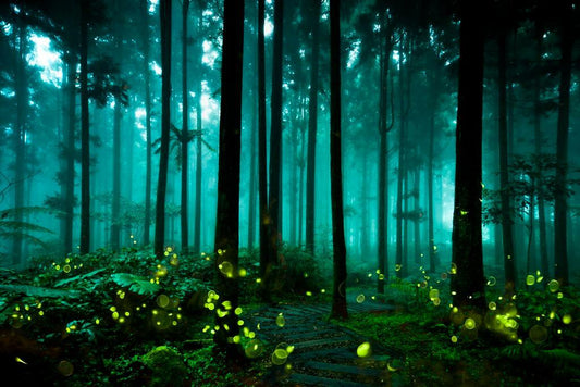 Magical Firefly Forest Poster | Fantasy Art Print | Enchanted Landscape Wall Art