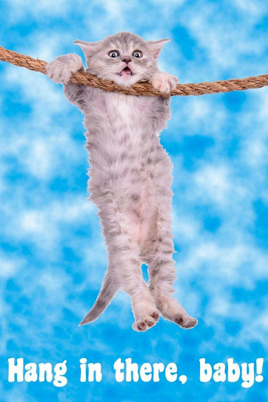 Hang in There, Baby | Kitten Motivational Poster