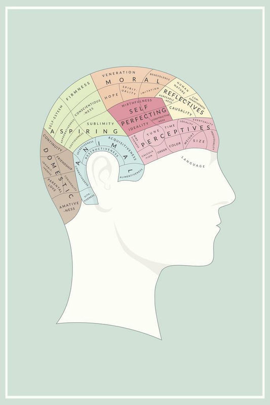 Phrenology Chart | Vintage Brain Mapping Illustration Poster
