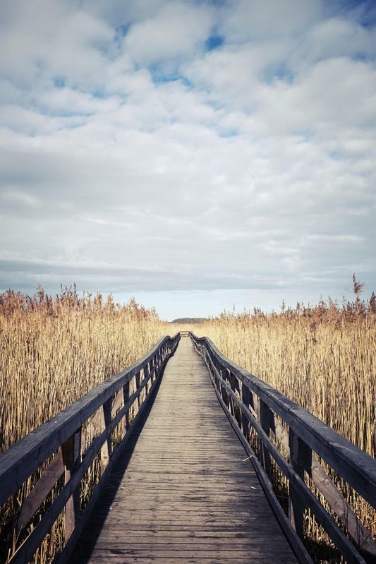 Wooden Boardwalk to the Beach | Coastal Pathway Photography | Seaside Landscape Poster - Photography Poster