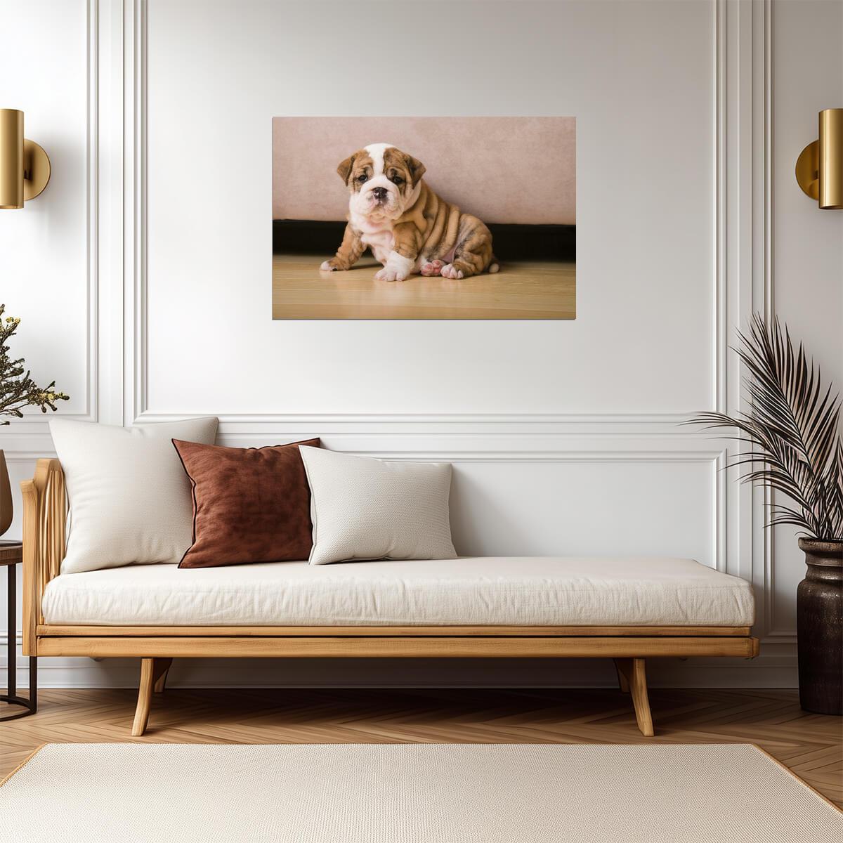 English Bulldog Puppy Photo | Cute Dog Portrait | Animal Wall Art Poster - Photography Poster