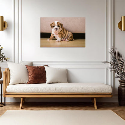English Bulldog Puppy Photo | Cute Dog Portrait | Animal Wall Art Poster - Photography Poster