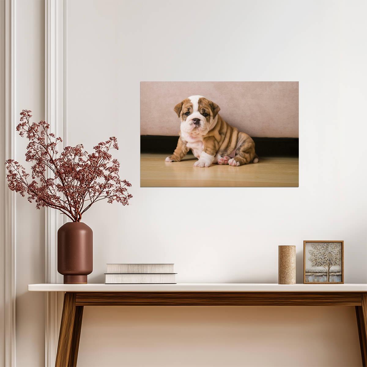 English Bulldog Puppy Photo | Cute Dog Portrait | Animal Wall Art Poster - Photography Poster