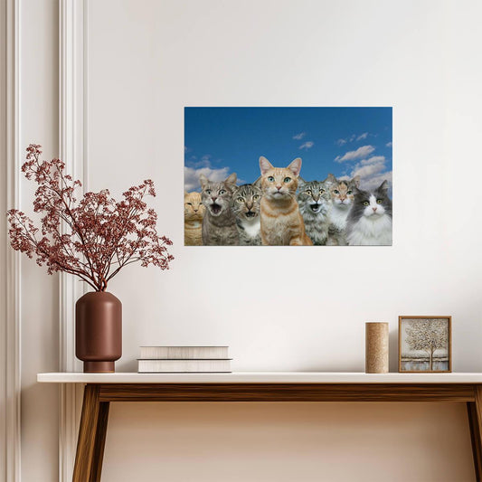 Two Curious Cats | Funny Animal Photography | Humorous Pet Poster - Photography Poster