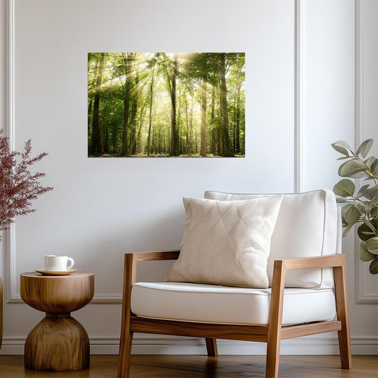 Sunrays Through Forest Trees Photo | Nature Photography | Woodland Landscape Poster - Photography Poster
