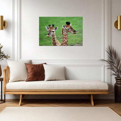 Two Baby Giraffes Photo | African Wildlife Photography | Cute Animal Poster - Photography Poster