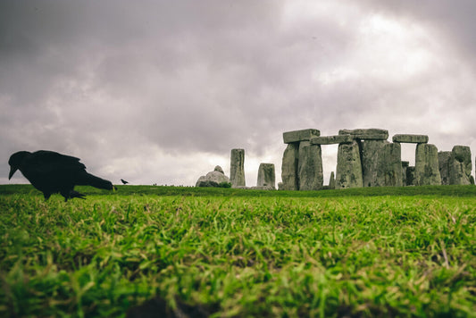 Stonehenge with Black Crow Poster | England Landscape Photography | Historic Wall Art