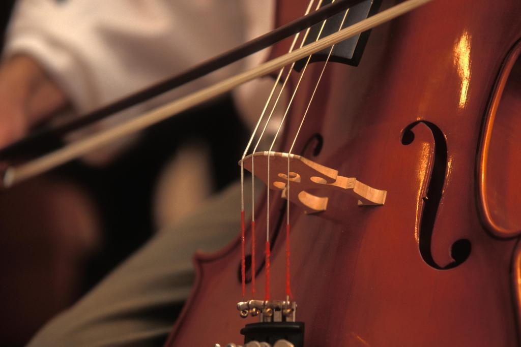 Cellist Playing Cello Close-Up | Classical Music Photography | Musician Wall Art Poster - Music Poster