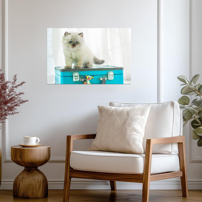 Baby Himalayan Cat on a Vintage Suitcase | Pet Photography | Cute Kitten Poster - Photography Poster