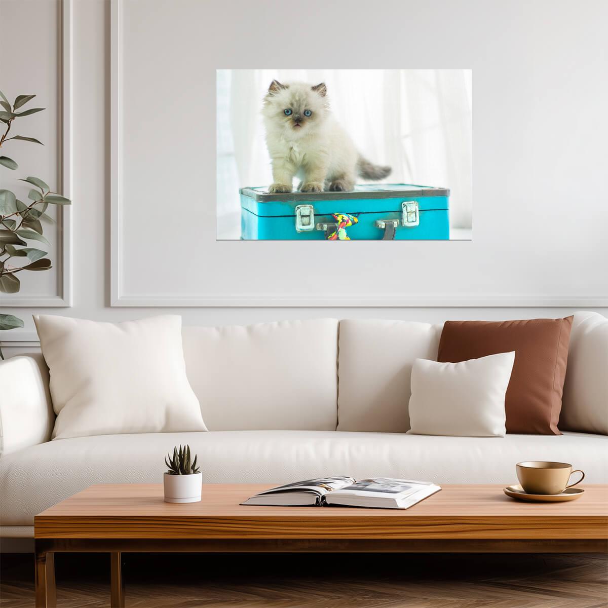 Baby Himalayan Cat on a Vintage Suitcase | Pet Photography | Cute Kitten Poster - Photography Poster