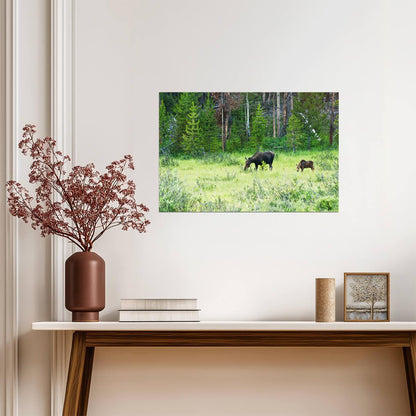 Cow Moose and Calf in Kawuneeche Valley | Rocky Mountains Photography Poster - Photography Poster