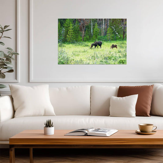 Cow Moose and Calf in Kawuneeche Valley | Rocky Mountains Photography Poster - Photography Poster