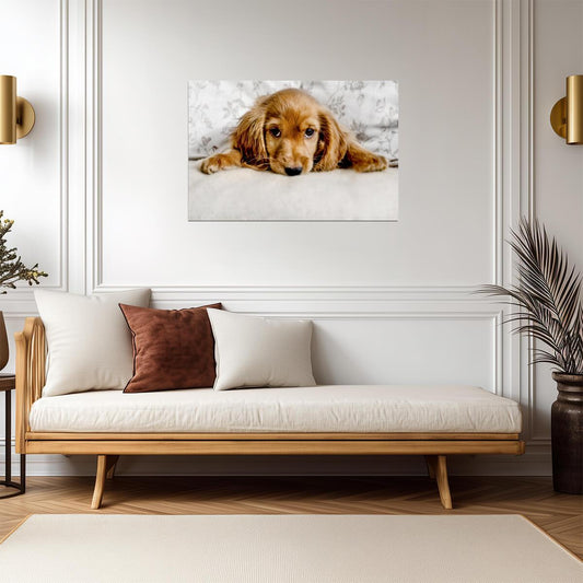 Cute Cocker Spaniel Puppy Lying Down | Pet Photography | Dog Poster - Photography Poster