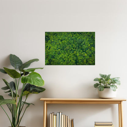 Lush Forest Aerial View Poster | Nature Photography | Green Canopy Wall Art