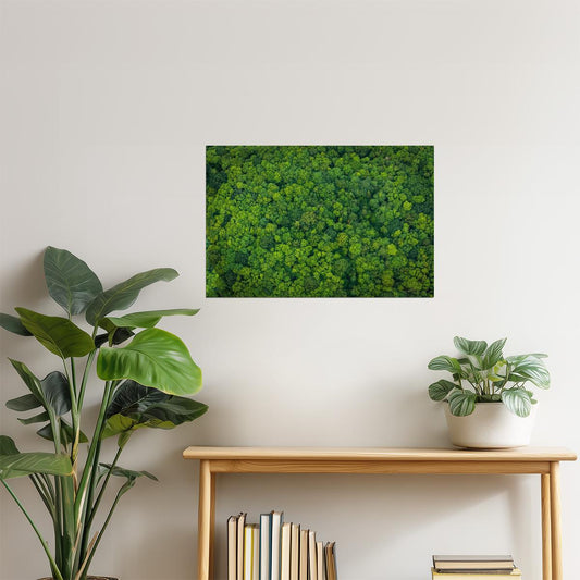 Lush Forest Aerial View Poster | Nature Photography | Green Canopy Wall Art