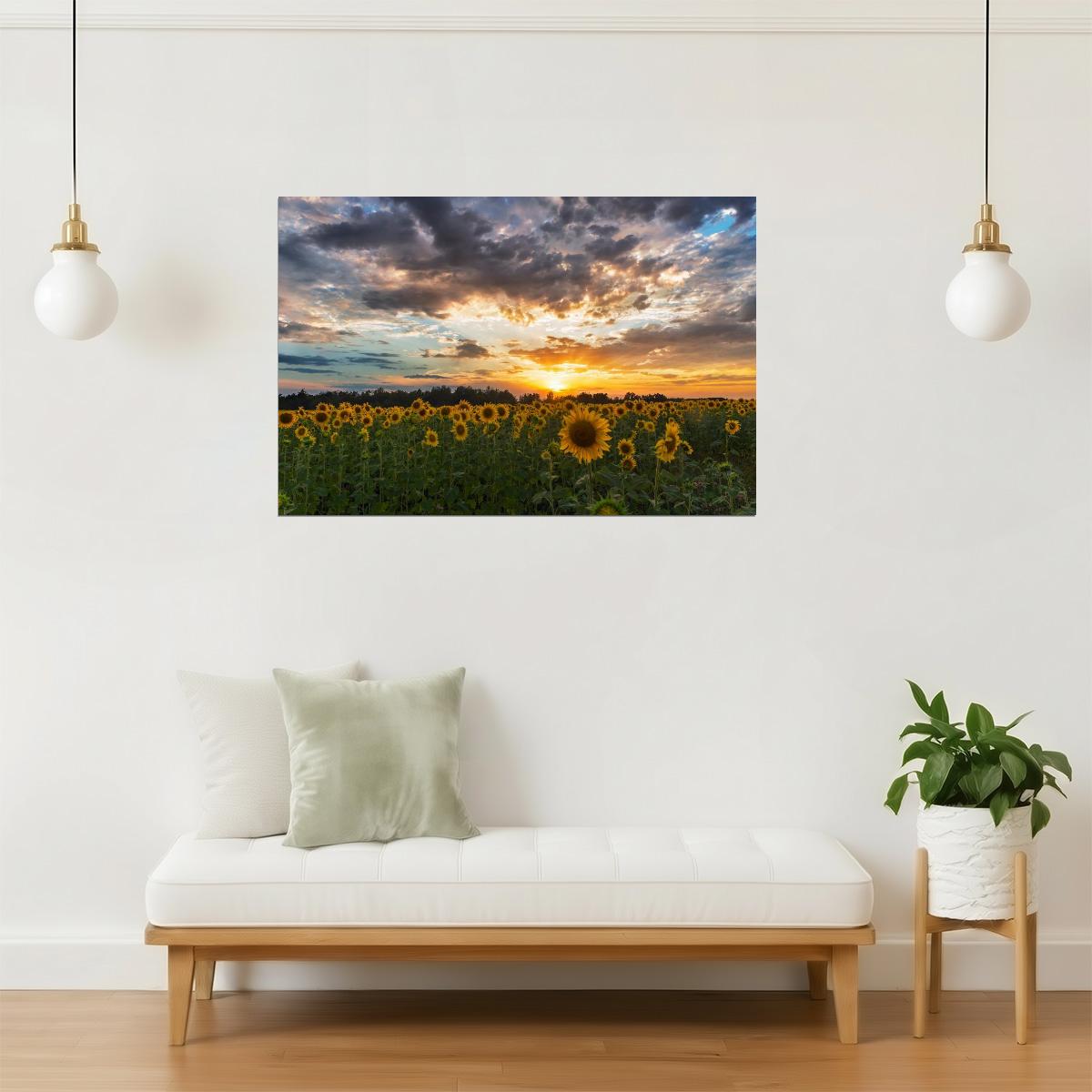 Tuscany Sunflower Field Poster | Italy Landscape Photography | Sunset Wall Art