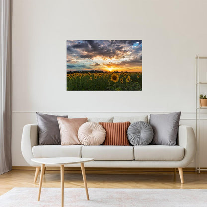 Tuscany Sunflower Field Poster | Italy Landscape Photography | Sunset Wall Art