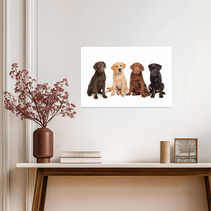Four Different Colored Labrador Puppies | Cute Dog Photography | Pet Portrait Poster - Photography Poster