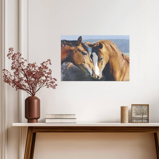 A Tender Moment Between Two Horses | Heartwarming Photography Print | Equestrian Wall Art Poster - Photography Poster