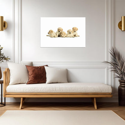 Five Cute Labrador Retriever Puppies | Dog Photography Poster | Pet Wall Art - Photography Poster