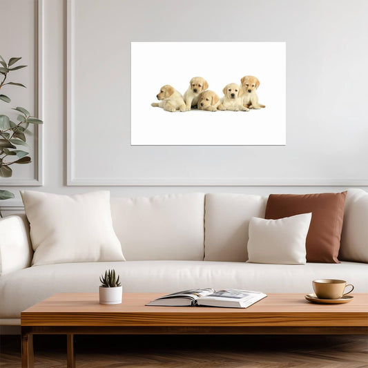 Five Cute Labrador Retriever Puppies | Dog Photography Poster | Pet Wall Art - Photography Poster