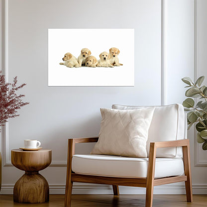 Five Cute Labrador Retriever Puppies | Dog Photography Poster | Pet Wall Art - Photography Poster
