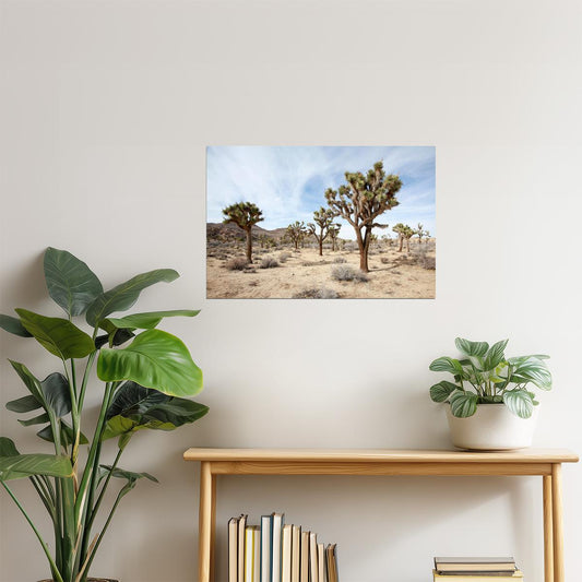 Joshua Tree National Park Poster | California Desert Photography | Landscape Wall Art