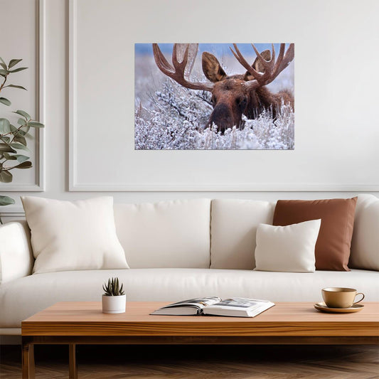 Bull Moose Hiding in Sagebrush | Wildlife Photography Print | Nature Wall Art Poster - Photography Poster