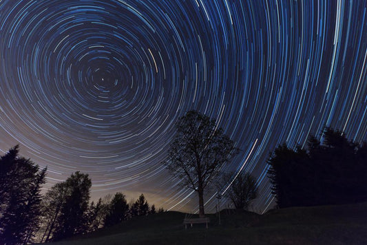 Star Trails Above a Lone Tree | Night Sky Photography | Astrophotography Poster - Photography Poster
