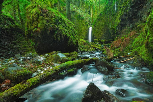 Mossy Grotto Falls in Columbia River Gorge | Oregon Nature Photography | Waterfall Poster - Photography Poster