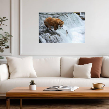 Brown Bear Hunting for Salmon | Alaska Wildlife Photography | Nature Poster - Photography Poster