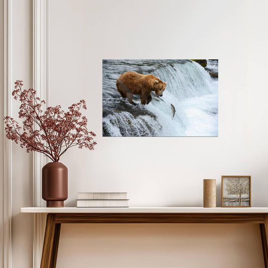 Brown Bear Hunting for Salmon | Alaska Wildlife Photography | Nature Poster - Photography Poster