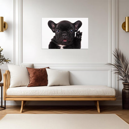 Black French Bulldog Waving Hello | Cute Puppy Photography | Pet Wall Art Poster - Photography Poster