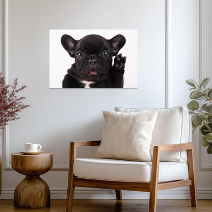 Black French Bulldog Waving Hello | Cute Puppy Photography | Pet Wall Art Poster - Photography Poster
