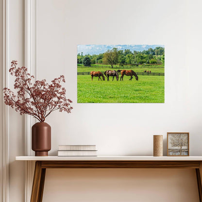 Thoroughbred Horses Grazing in a Pasture | Equestrian Photography | Farm Life Poster - Photography Poster