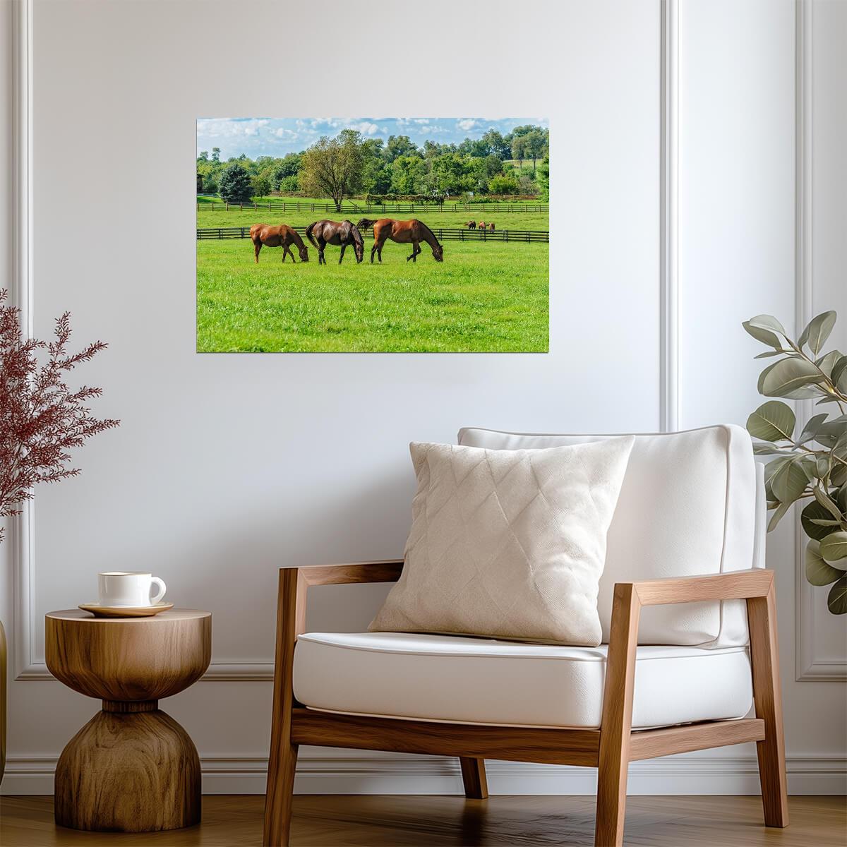 Thoroughbred Horses Grazing in a Pasture | Equestrian Photography | Farm Life Poster - Photography Poster