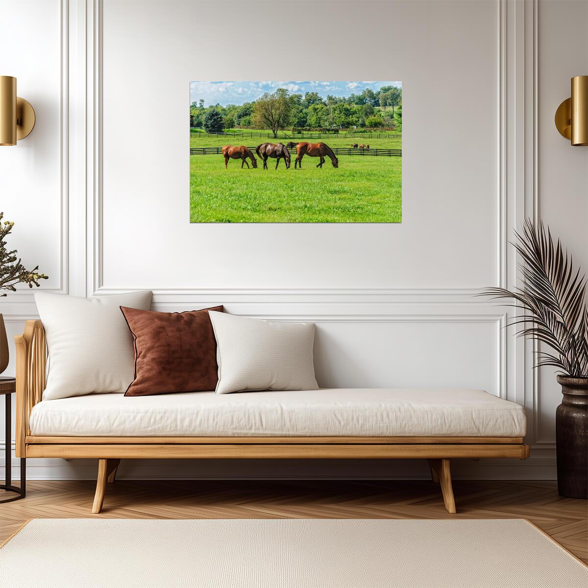 Thoroughbred Horses Grazing in a Pasture | Equestrian Photography | Farm Life Poster - Photography Poster