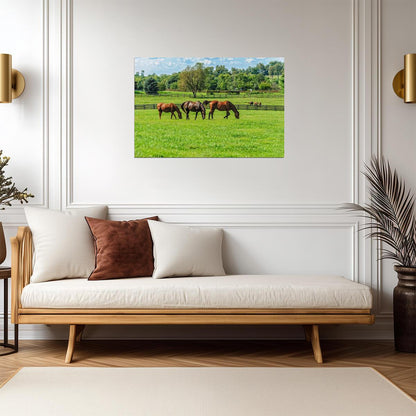 Thoroughbred Horses Grazing in a Pasture | Equestrian Photography | Farm Life Poster - Photography Poster