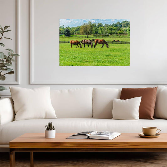 Thoroughbred Horses Grazing in a Pasture | Equestrian Photography | Farm Life Poster - Photography Poster