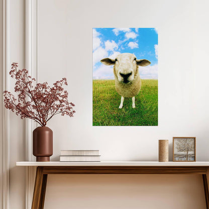 Close Up of a Sheep Photo | Farm Animal Portrait | Rural Photography Poster - Photography Poster