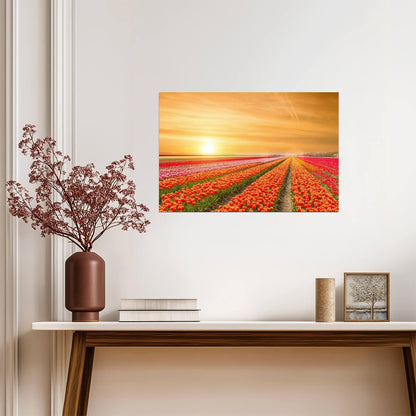 Rows of Tulips in the Netherlands | Springtime Floral Photography | Holland Landscape Poster - Photography Poster