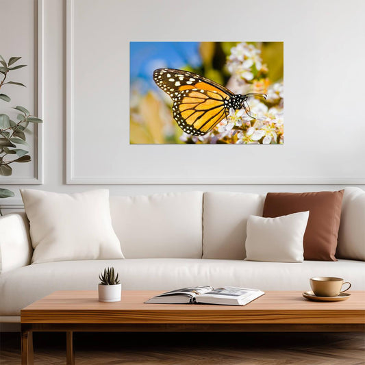 Monarch Butterfly on a Flower | Macro Photography Print | Nature Wall Art Poster - Photography Poster