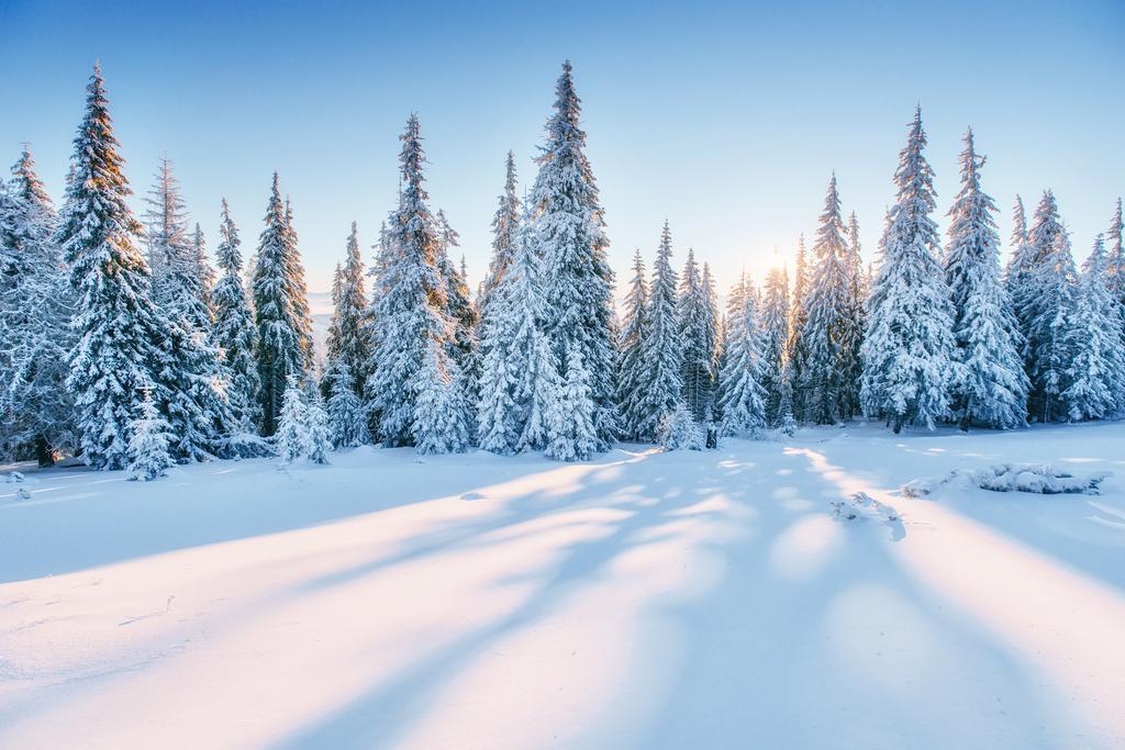 Magical Snowy Sunset Poster | Winter Forest Photography | Landscape Wall Art
