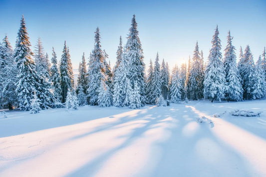Magical Snowy Sunset Poster | Winter Forest Photography | Landscape Wall Art