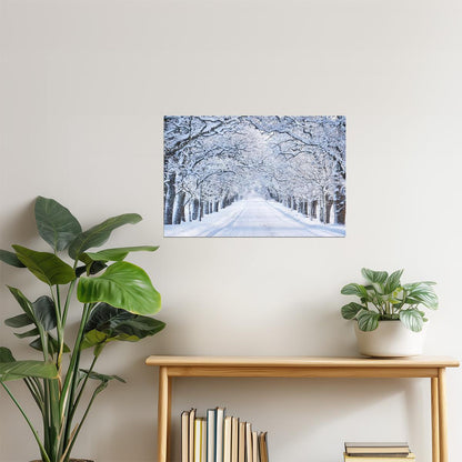 Snowy Winter Street Poster | Snow Covered Trees Photography | Winter Landscape Art