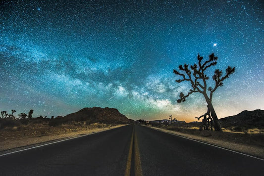Starry Sky over Joshua Tree National Park | Night Photography | Desert Landscape Poster - Photography Poster
