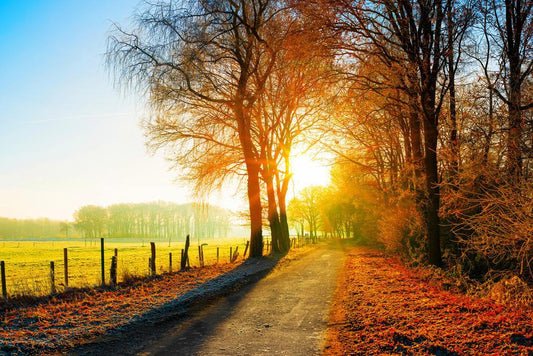 Autumn Country Road Poster | Sunset Farm Fields | Rural Landscape Photography