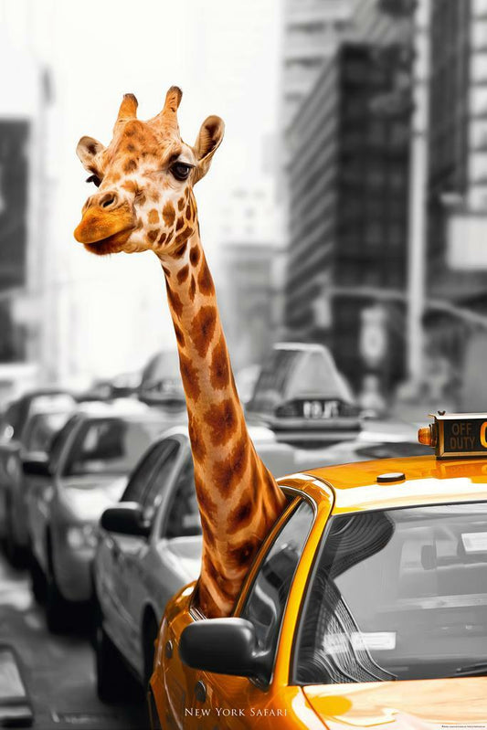 New York Safari | Giraffe in a Taxi | Surreal NYC Animal Art Poster - Graphic & Art Poster